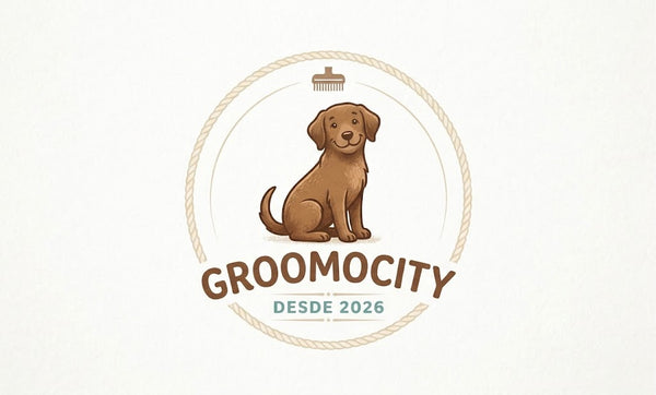 groomocity